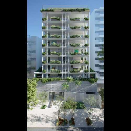 nove ipanema mozak