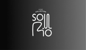 Soul rio Barata Ribeiro Copacabana