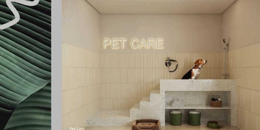 prt care soul rio bairro de fatima